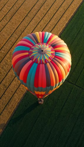 הצעת נישואין בכדור פורח